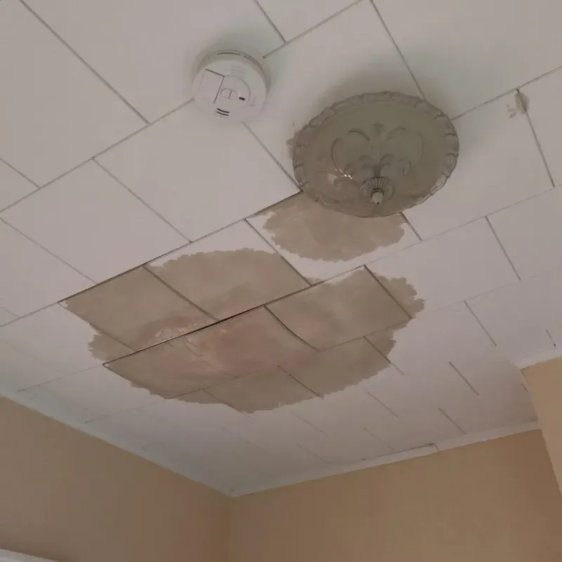 Ceiling Water Damage Repair in Gillespie County, TX
