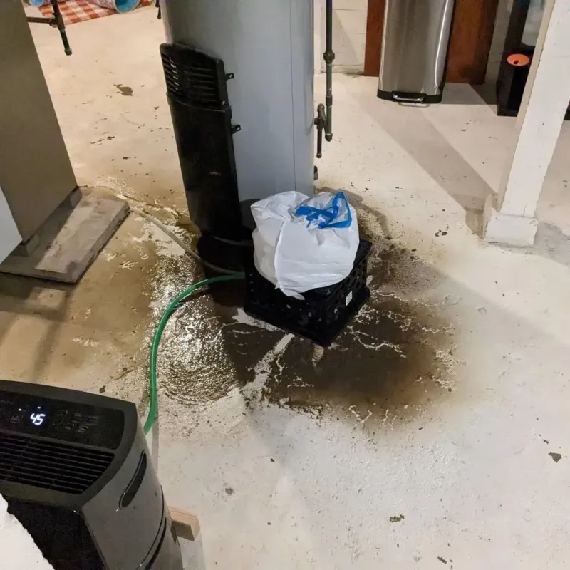 Sewage Backup Cleanup Service in Gillespie County, TX